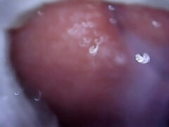 Closeup inside view of fucking and cuming in fleshlight