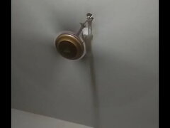 Hbb
